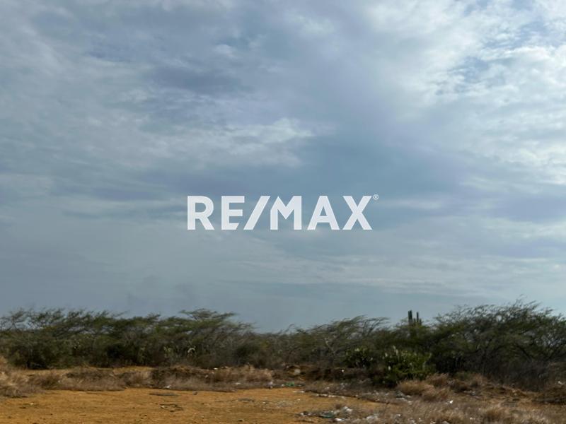 Amplio Terreno en venta en Guanadito Sur.