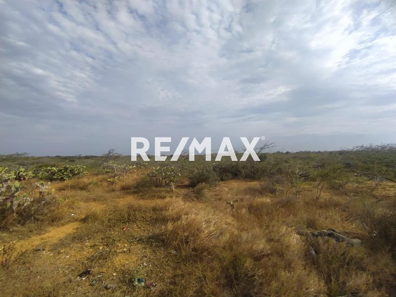 Amplio Terreno en venta en Guanadito Sur.