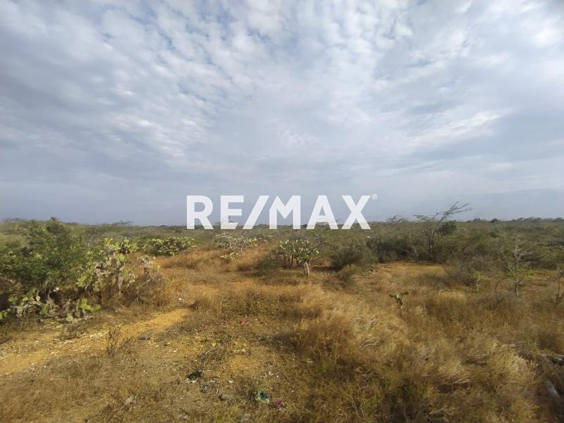 Amplio Terreno en venta en Guanadito Sur.