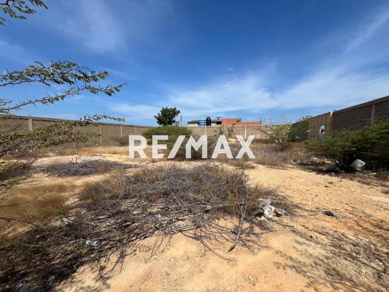 TERRENO EN VENTA AV, JOSEFA CAMEJO DE PUNTA CARDON