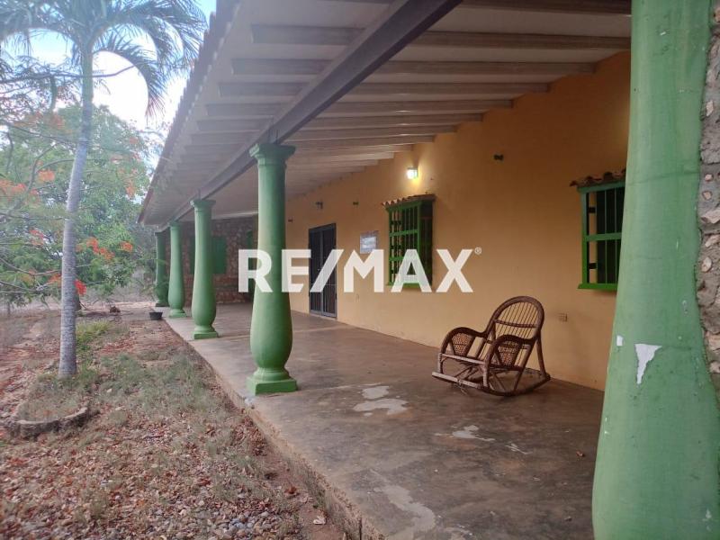 Finca, Buena Vista, Municipio Falcón