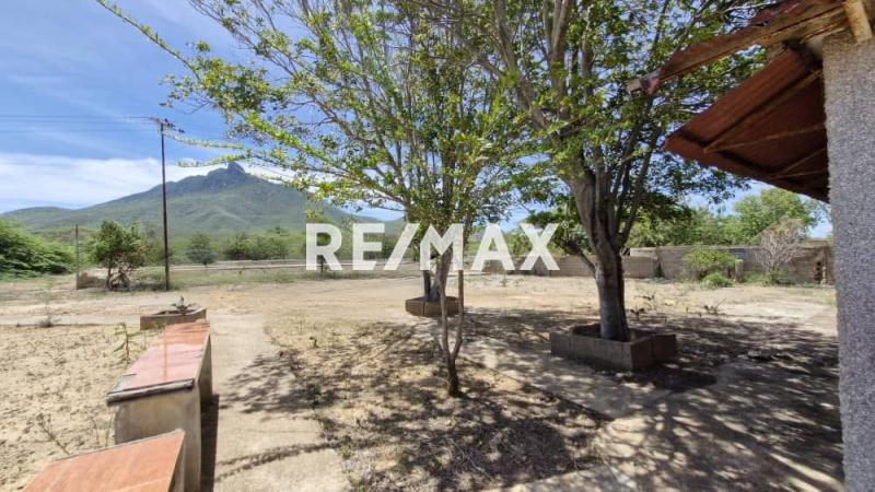 En Venta Terreno y Parcela Moruy , municipio Falcón ,
