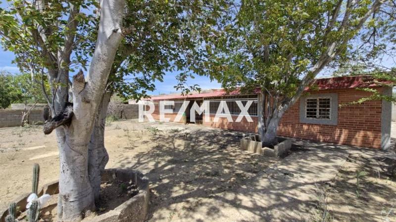 En Venta Terreno y Parcela Moruy , municipio Falcón ,