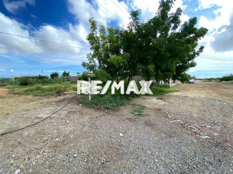 En Venta Terreno y Parcela Calle Sucre, Carirubana, Punto Fijo, Carirubana, Falcón, 4102, VEN