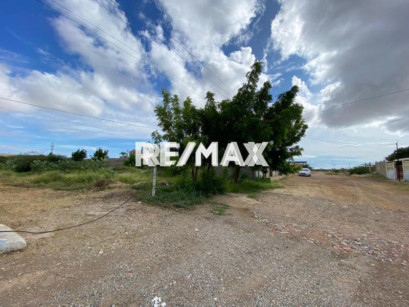 En Venta Terreno y Parcela Calle Sucre, Carirubana, Punto Fijo, Carirubana, Falcón, 4102, VEN