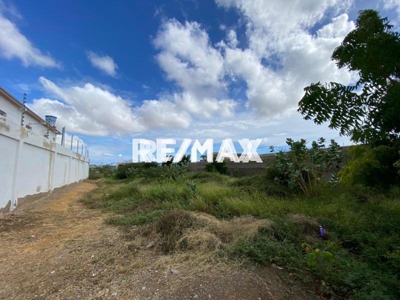 En Venta Terreno y Parcela Avenido Jacinto Lara, Centro, Punto Fijo, Falcón, 4102, VEN