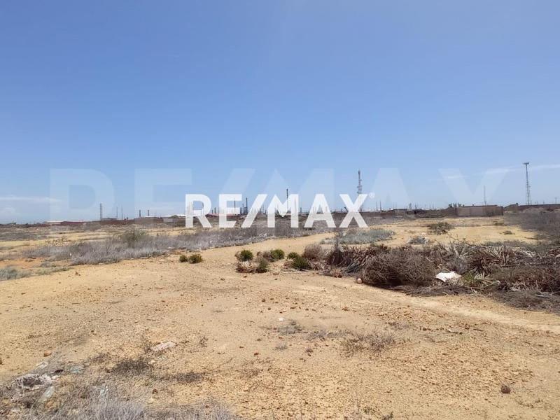 En Venta Terreno y Parcela Calle Riera, Puerta Maraven, Punto Fijo, Carirubana, Punta Cardón, Falcón, VEN