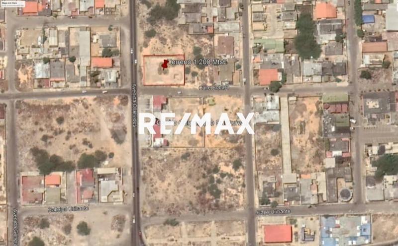 En Venta Terreno y Parcela Calle Riera, Puerta Maraven, Punto Fijo, Carirubana, Punta Cardón, Falcón, VEN