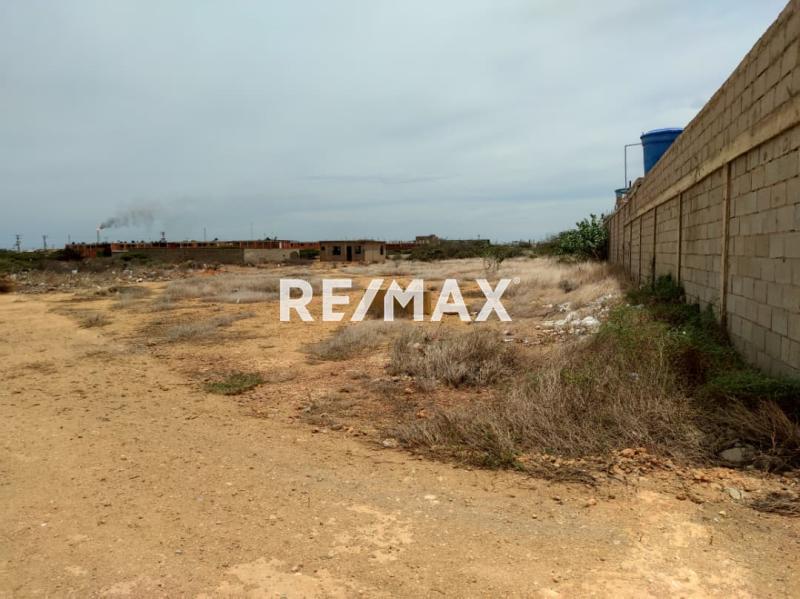 En Venta Terreno y Parcela SECTOR SANTA ELENA MUNICIPIO CARIRUBANA