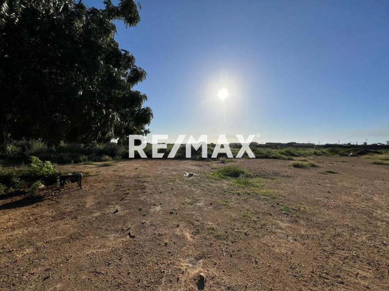 En Venta Terreno y Parcela Calle Tamare, Punto Fijo, Carirubana, Punta Cardón, Falcón, VEN