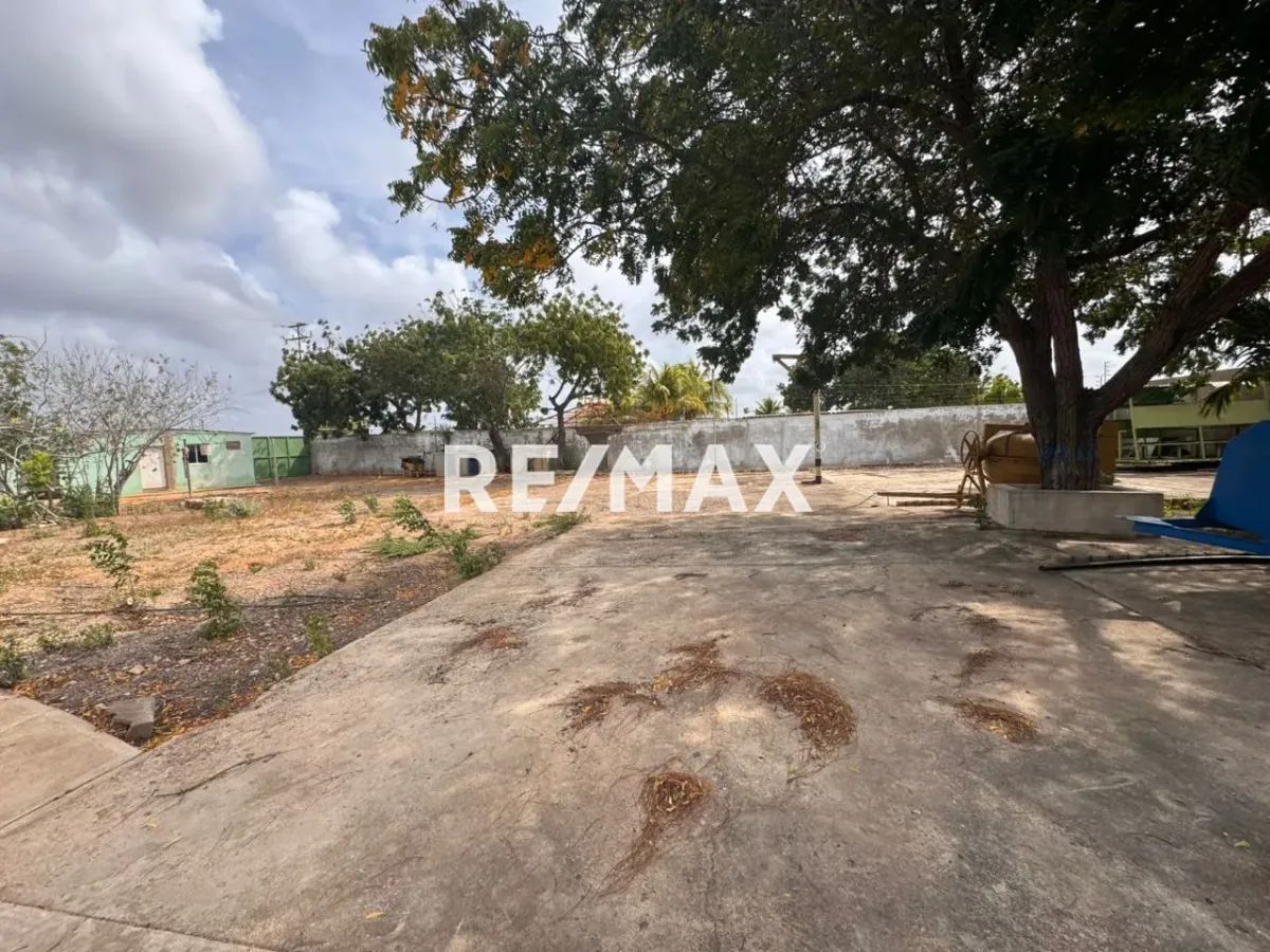 En Venta Negocio La Rinconada, Falcón, VEN