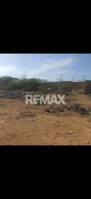 En Venta Terreno y Parcela Guanadito sur calle la paz