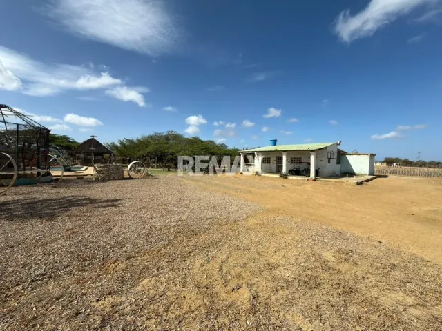 En Venta Hacienda y Finca Municipio Falcon, Jadacaquiva, Sector Las Cejas San Miguel