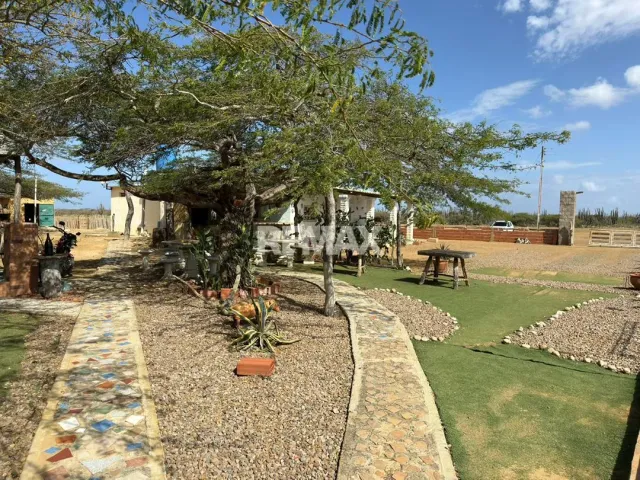 En Venta Hacienda y Finca Municipio Falcon, Jadacaquiva, Sector Las Cejas San Miguel