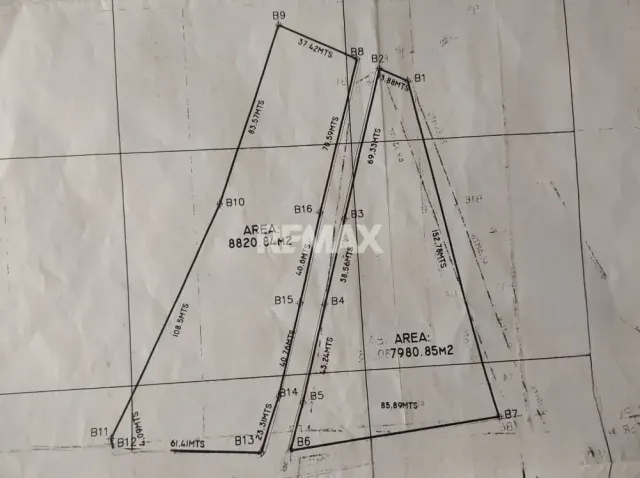 En Venta Terreno y Parcela El Taparo, Sector La Guadalupe