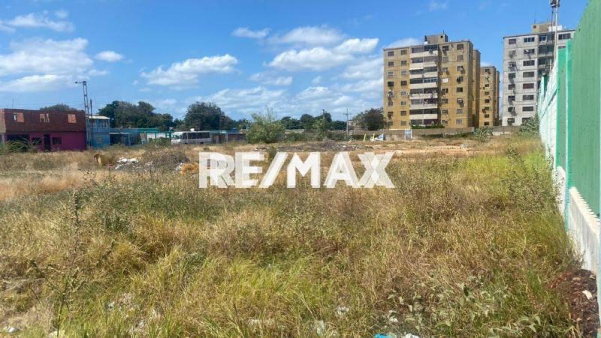 En Venta Terreno y Parcela Avenida Ramón Ruíz Polanco, Carirubana, Falcón, 4102, VEN - Foto 2