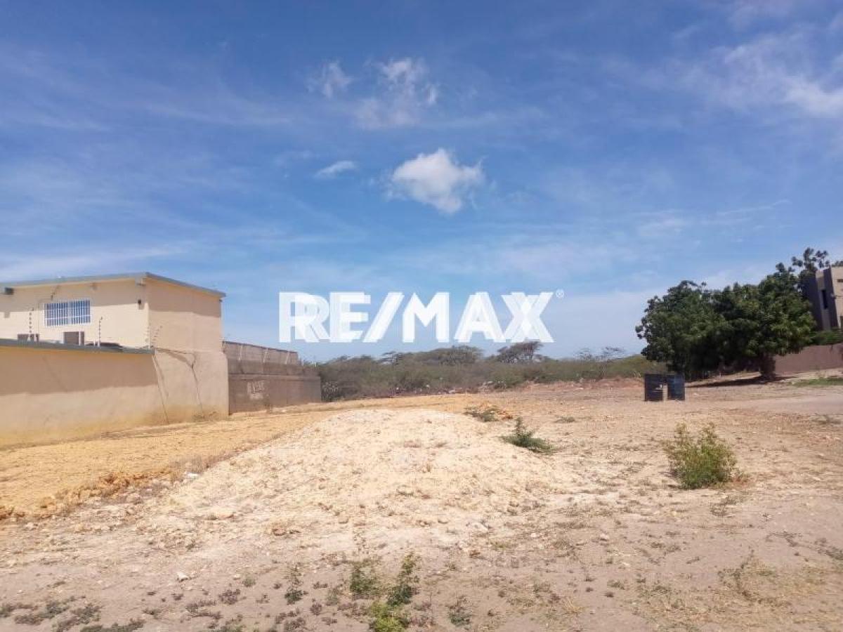 En Venta Terreno y Parcela Avenida Hipolito Ocando, Guanadito, Los Taques, Falcón, 4102, VEN - Foto 1