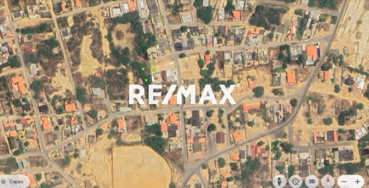 En Venta Terreno y Parcela Avenida Hipolito Ocando, Guanadito, Los Taques, Falcón, 4102, VEN - Foto 4