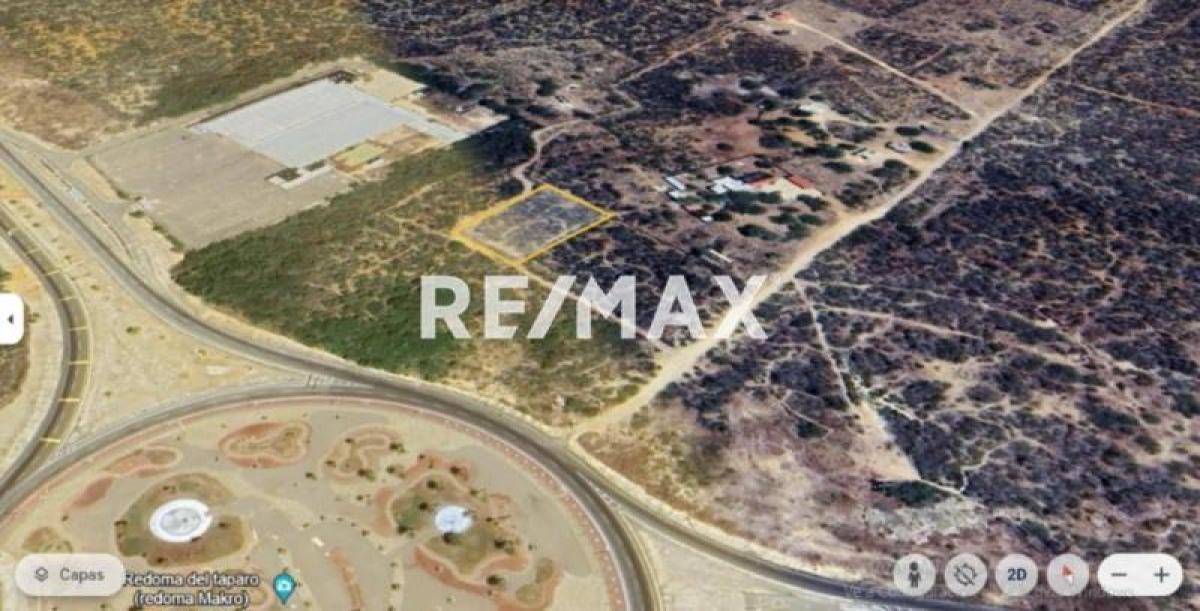 En Venta Terreno y Parcela Zona Rural El Taparo, Municipio Los Taques del Estado Falcón