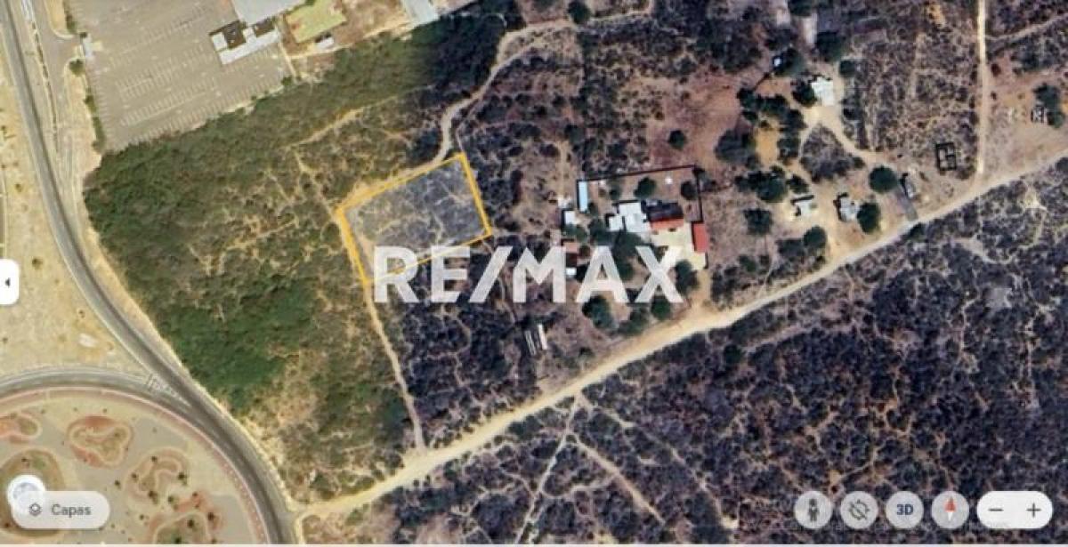 En Venta Terreno y Parcela Zona Rural El Taparo, Municipio Los Taques del Estado Falcón