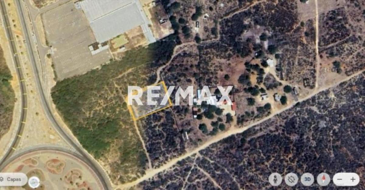 En Venta Terreno y Parcela Zona Rural El Taparo, Municipio Los Taques del Estado Falcón