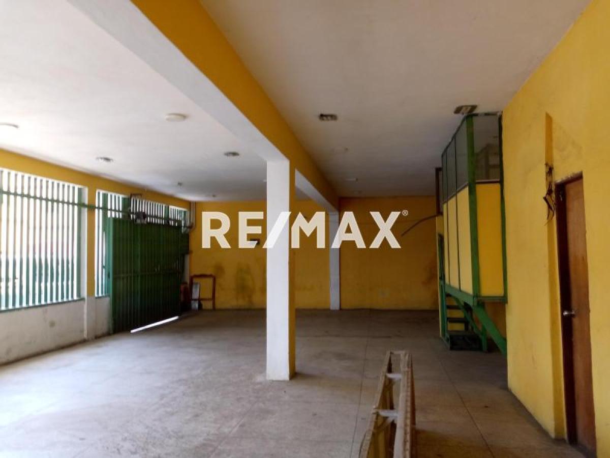 En Alquiler Local Comercial Calle Garces, Punto Fijo, Carirubana, Falcón, 4102, VEN
