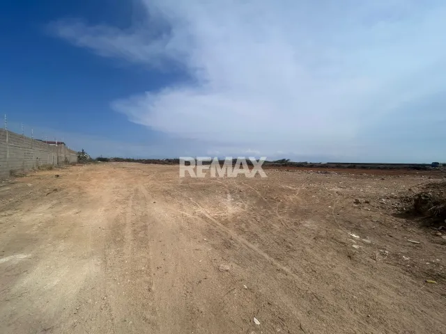 Amplio terreno de 10,000 m² en venta para desarrollo en Cardón, Falcón - Foto 5