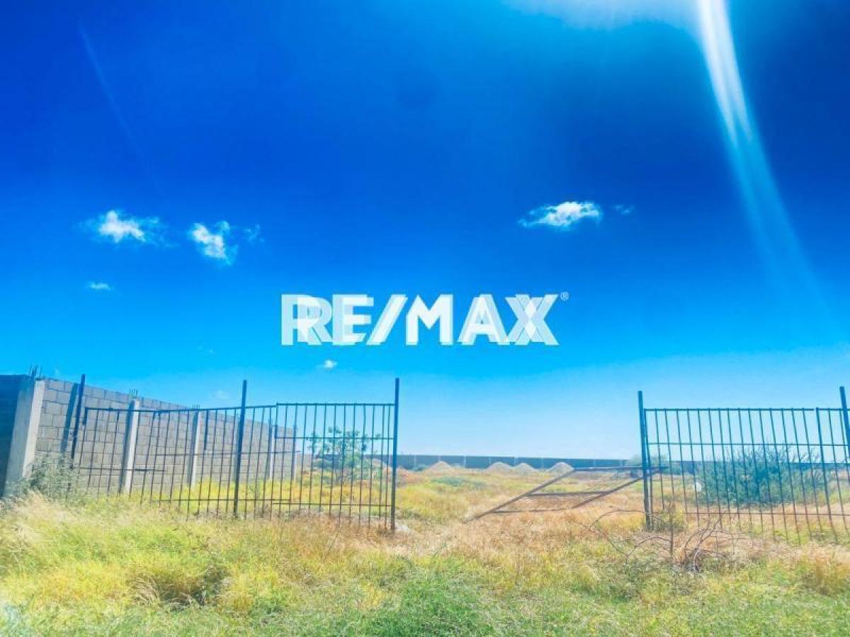 Amplio terreno de 10.000 m² en venta, Calle Ceuta, Puerta Maraven, Falcón - Foto 3