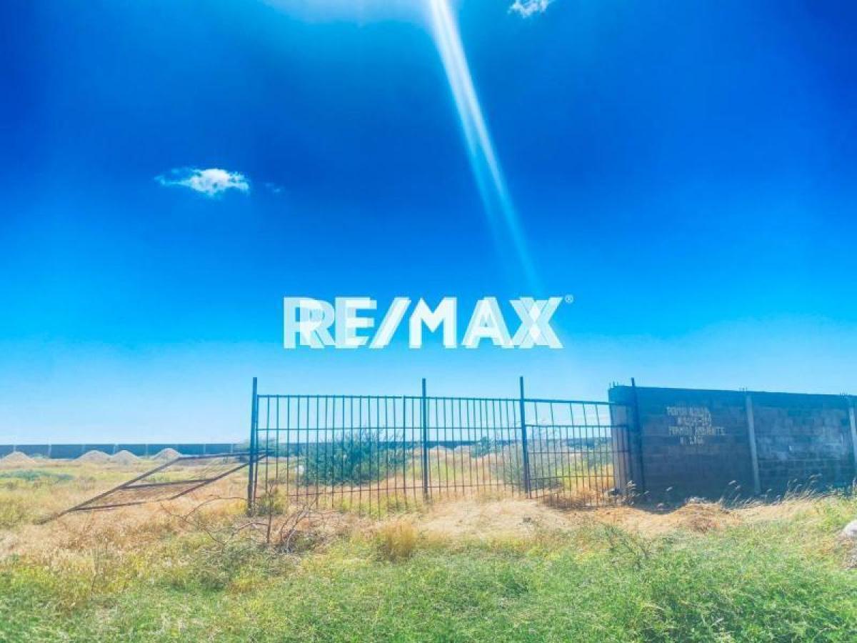 Amplio terreno de 10.000 m² en venta, Calle Ceuta, Puerta Maraven, Falcón - Foto 5