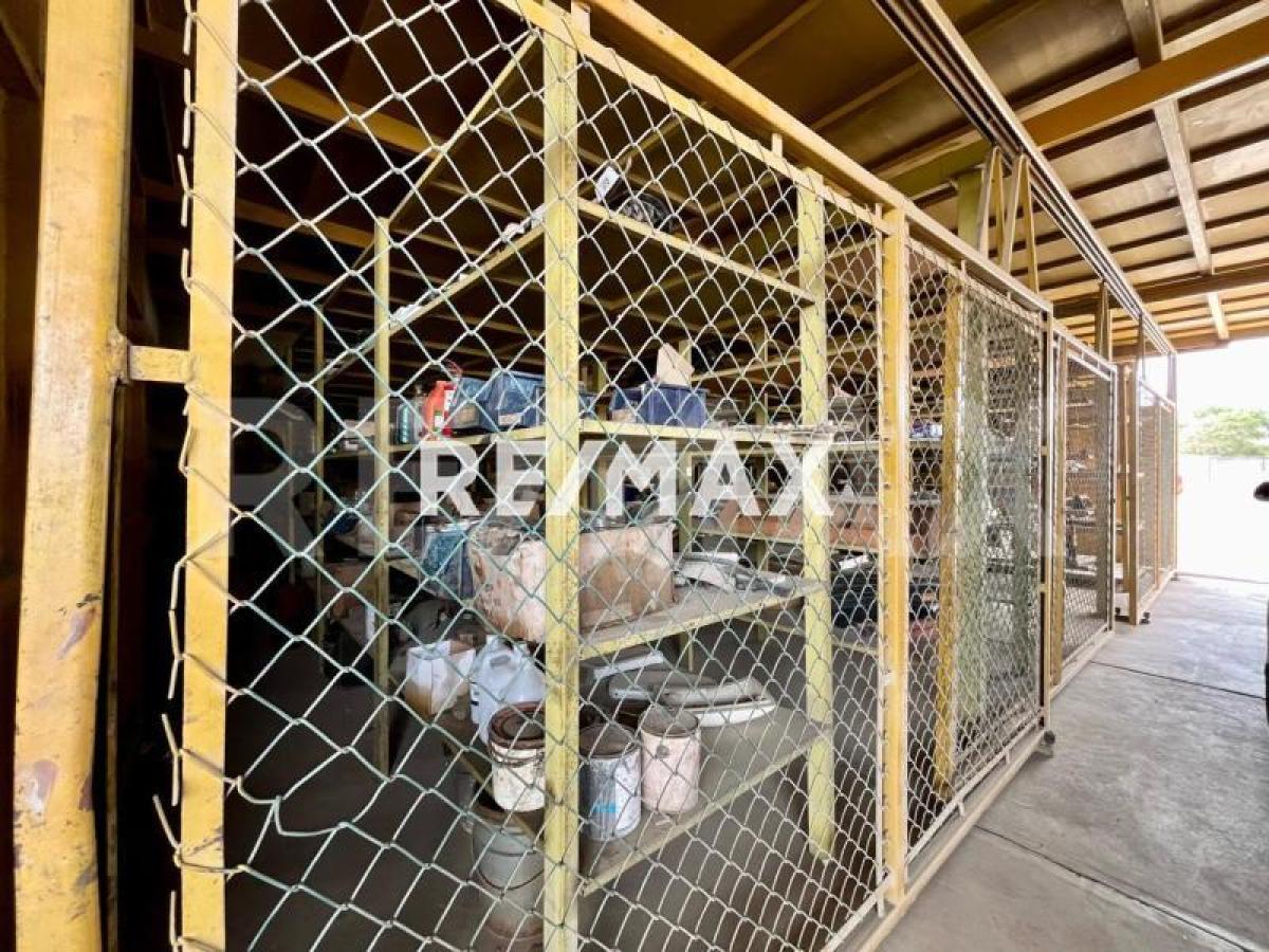En Venta Local Industrial y Galpón Bela Vista - Foto 7
