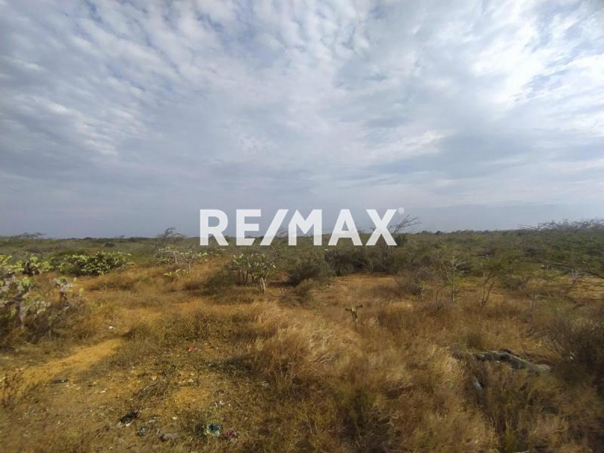 En Venta Terreno y Parcela Guanadito Sur, Los Taques, Falcón, 4147, VEN - Foto 4