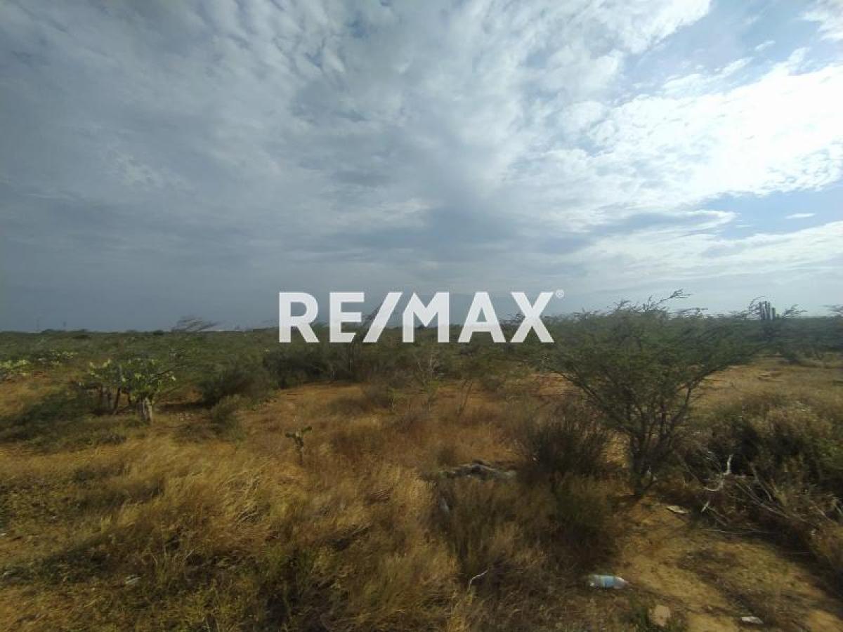 En Venta Terreno y Parcela Guanadito Sur, Los Taques, Falcón, 4147, VEN - Foto 5