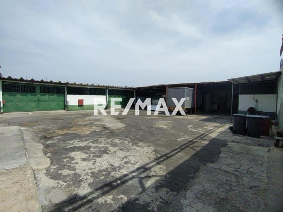 En Venta Local Industrial y Galpón Av. Jacinto Lara, Punto Fijo, Carirubana, Falcón, VEN - Foto 10