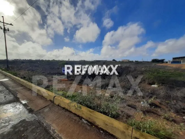 En Venta Terreno y Parcela Las Adjuntas, Punto Fijo, Carirubana, Falcón, VEN - Foto 1