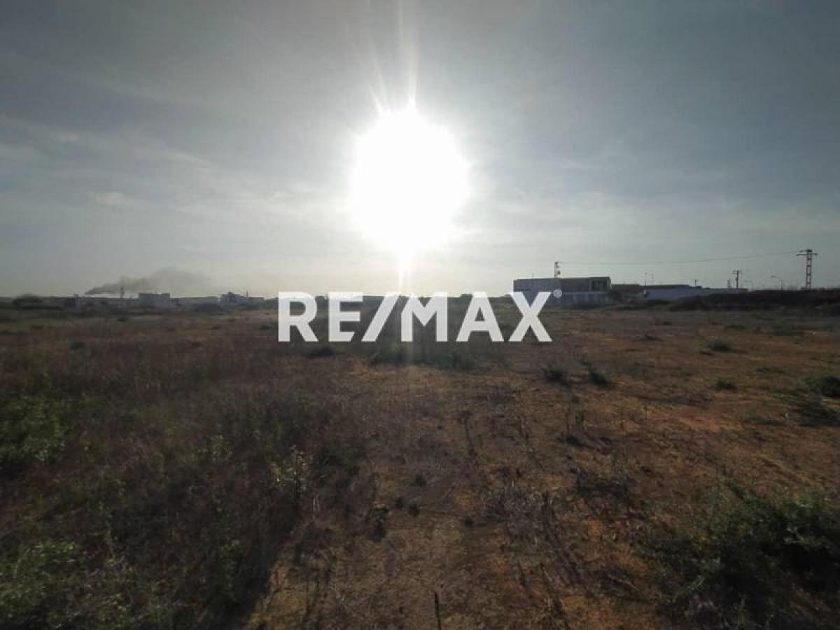 En Venta Terreno y Parcela Puerta Maraven, Cardón, Carirubana, Falcón, VEN - Foto 3