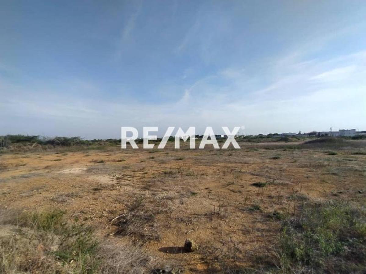 En Venta Terreno y Parcela Puerta Maraven, Cardón, Carirubana, Falcón, VEN - Foto 5