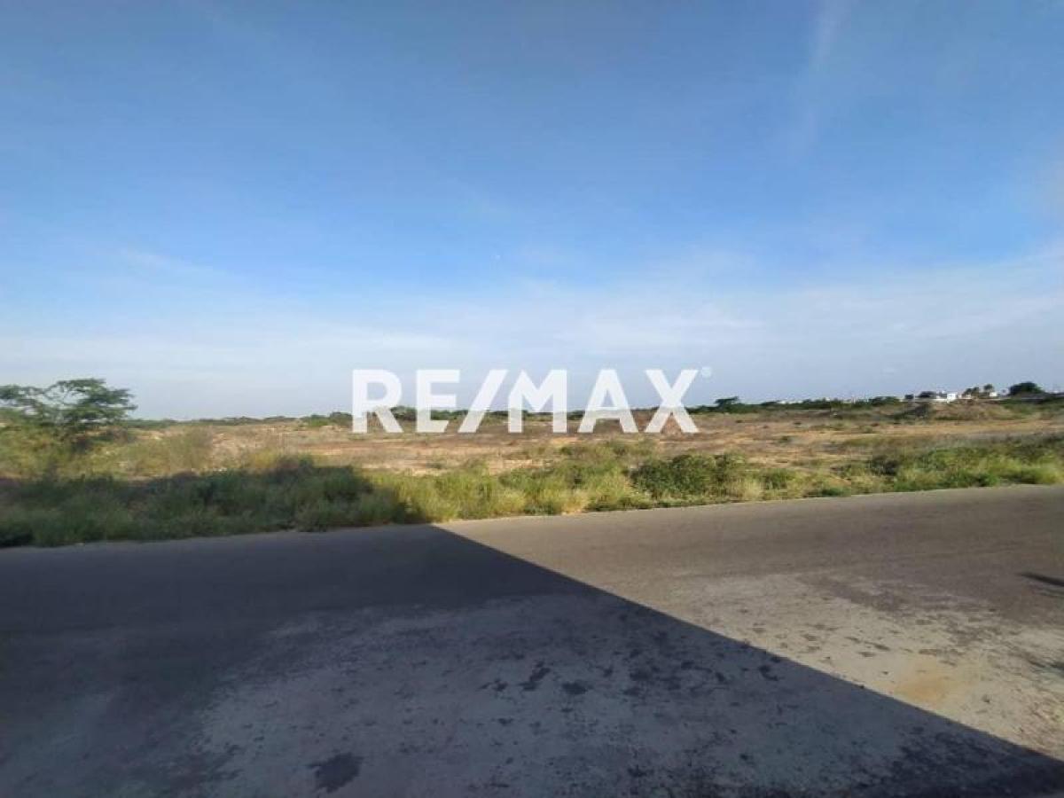 En Venta Terreno y Parcela Puerta Maraven, Cardón, Carirubana, Falcón, VEN - Foto 6