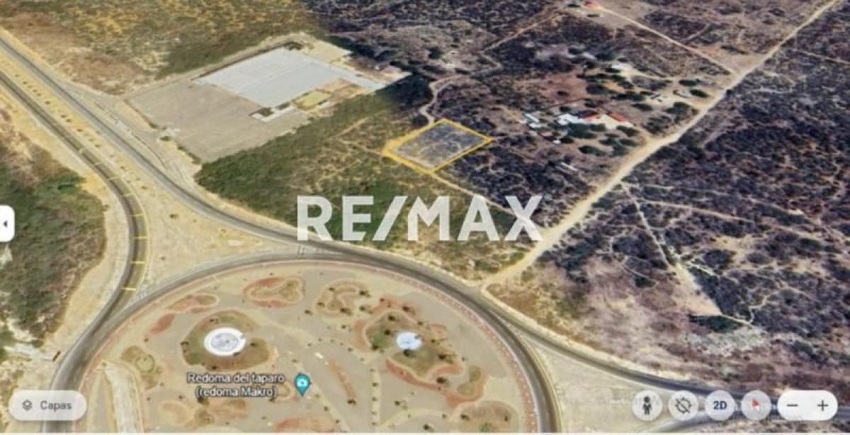 En Venta Terreno y Parcela Zona Rural El Taparo, Municipio Los Taques del Estado Falcón, Judibana, Los Taques, Falcón, VEN - Foto 1