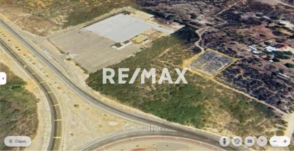 En Venta Terreno y Parcela Zona Rural El Taparo, Municipio Los Taques del Estado Falcón, Judibana, Los Taques, Falcón, VEN - Foto 2