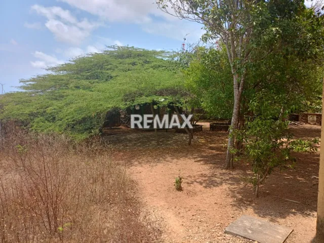 Finca en Venta, Buena Vista, Municipio Falcón - Foto 2