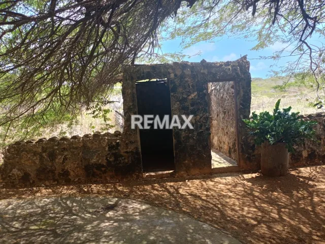 Finca en Venta, Buena Vista, Municipio Falcón - Foto 3