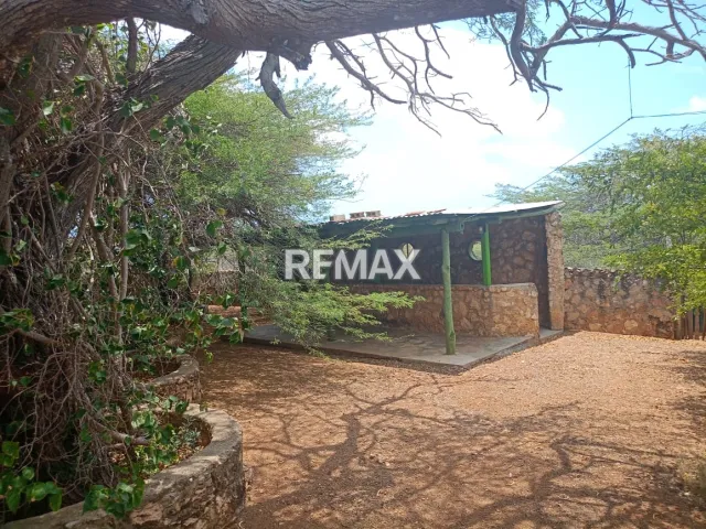 Finca en Venta, Buena Vista, Municipio Falcón - Foto 10