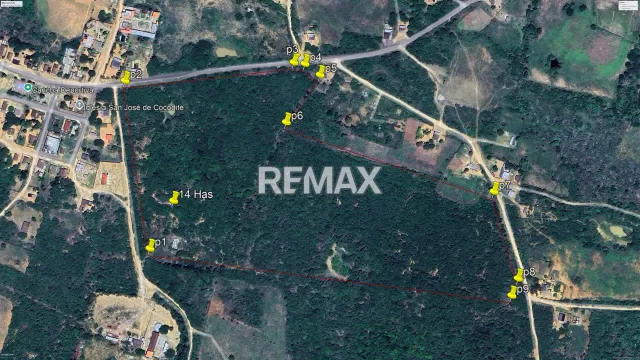 Casa en Venta, San Jose de Cocodite. - Foto 2