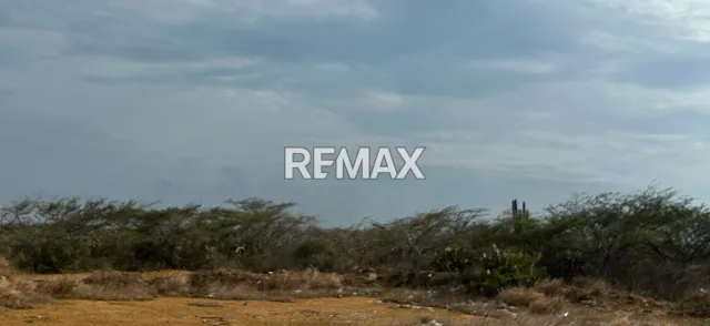 Oportunidad Unica de gran extension de terreno; 10.000m2, en Guanadito Sur, cercano a Refineria, Aeropuertos, Posadas, etc. con gran Potencial Industr - Foto 4