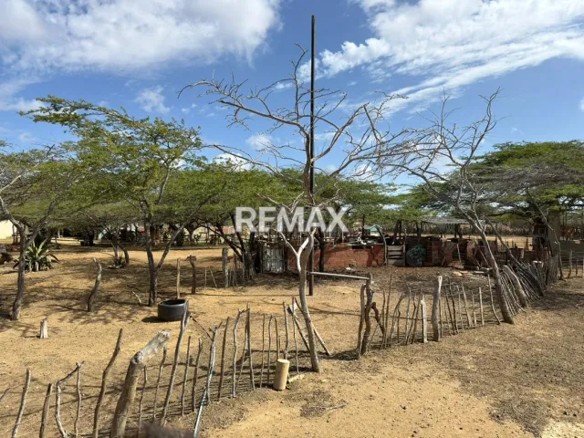 Fundo en Venta, Jadacaquiva, Sector Las Cejas San Miguel - Foto 4
