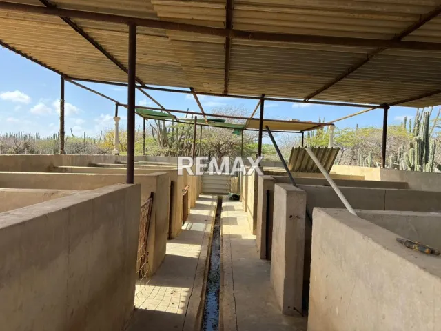 Fundo en Venta, Jadacaquiva, Sector Las Cejas San Miguel - Foto 5