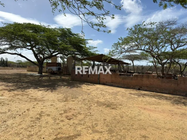 Fundo en Venta, Jadacaquiva, Sector Las Cejas San Miguel - Foto 14