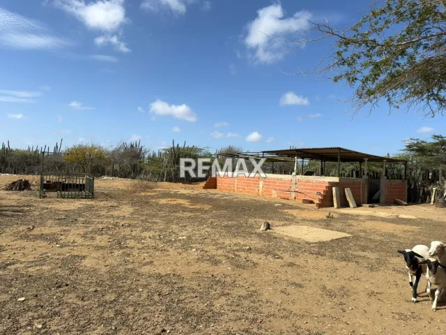 Fundo en Venta, Jadacaquiva, Sector Las Cejas San Miguel - Foto 17